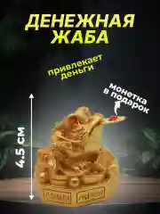 Золотой денежная жаба с монеткой  амулет привлекает  деньги в дом, фен шуй