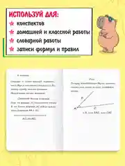 Красный тетрадь предметная 40 листов А5 в клетку/в линию, MyArt "Школа в тренде". Проф-Пресс