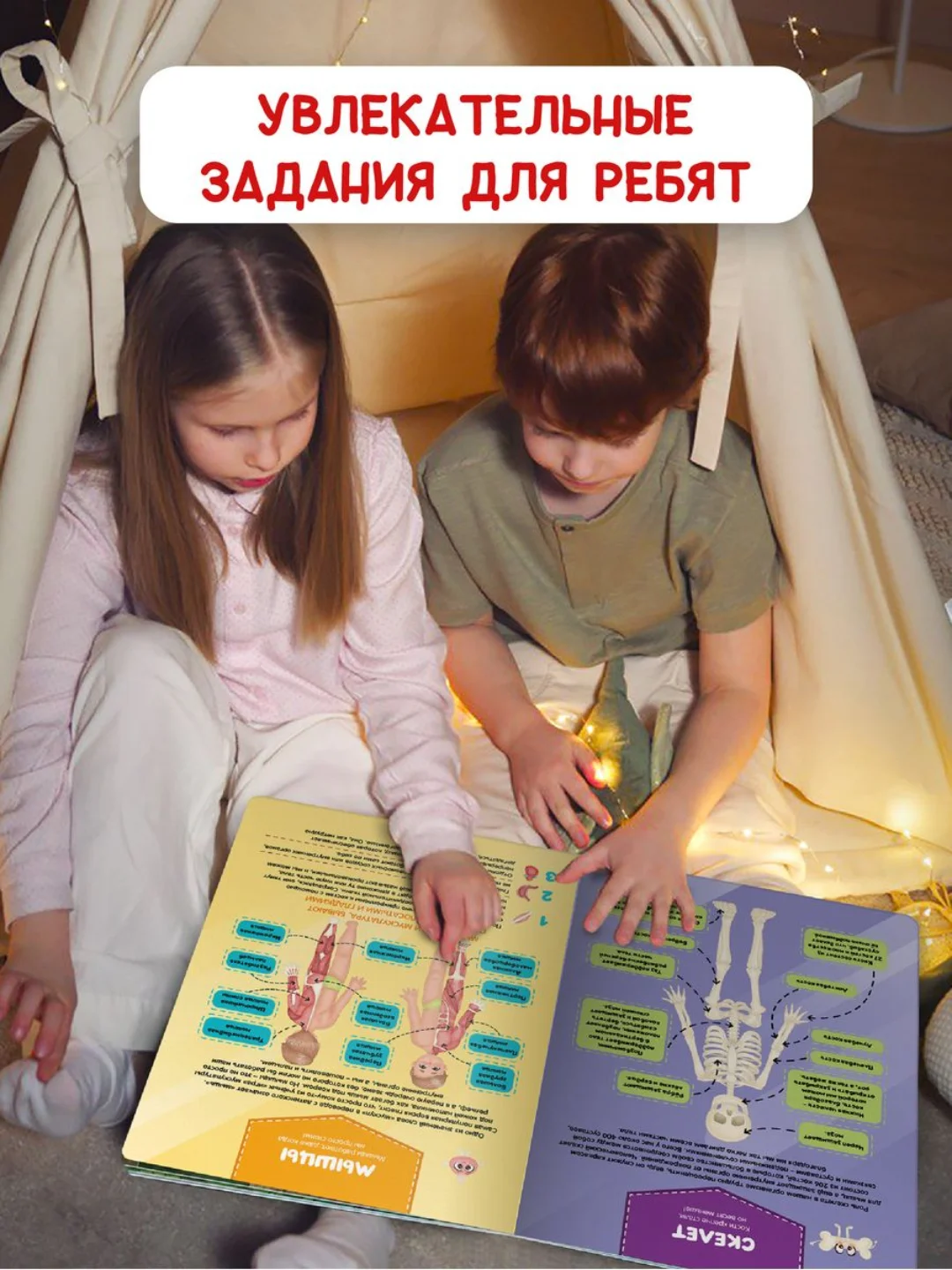 Книга на картоне "Тело человека. Детский атлас по анатомии" 14 стр. 235х315 мм. Проф-Пресс