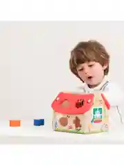 Сортер Домик 10563