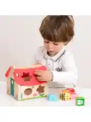 Сортер Домик 10563