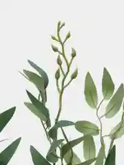 Зеленый рускус, ива, искусственная зелень, листья, трава, ветки, эвкалипт, цветы, букет