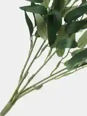 Зеленый рускус, ива, искусственная зелень, листья, трава, ветки, эвкалипт, цветы, букет