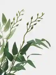 Зеленый рускус, ива, искусственная зелень, листья, трава, ветки, эвкалипт, цветы, букет