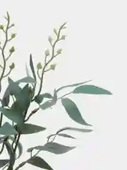 Зелёный хаки рускус, ива, искусственная зелень, листья, трава, ветки, эвкалипт, цветы, букет