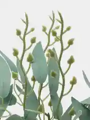 Зелёный хаки рускус, ива, искусственная зелень, листья, трава, ветки, эвкалипт, цветы, букет