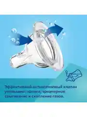Голубой canpol Babies Bonjour Paris Бутылочка для кормления c широким горлом, 240 мл