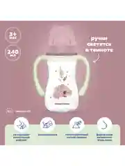 Розовый canpol Babies Sleepy Koala Бутылочка для кормления c широким горлом, 240 мл
