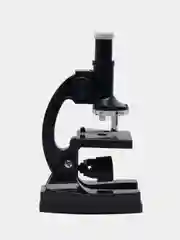 Микроскоп Levenhuk Discovery Centi 01 с книгой, для детей с 5 лет, увеличение до 300 крат