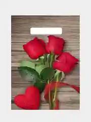 Пакет подарочный 20*30, 30*40