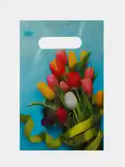 Пакет подарочный 20*30, 30*40