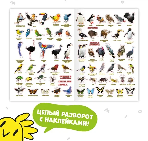 Атлас мира с наклейками ГЕОДОМ "Птицы и насекомые", 16 страниц