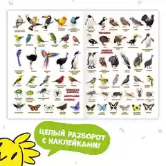 Атлас мира с наклейками ГЕОДОМ "Птицы и насекомые", 16 страниц