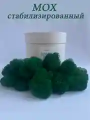 Тёмно-зелёный мох стабилизированный для декора,кашпо
