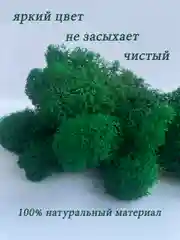 Тёмно-зелёный мох стабилизированный для декора,кашпо