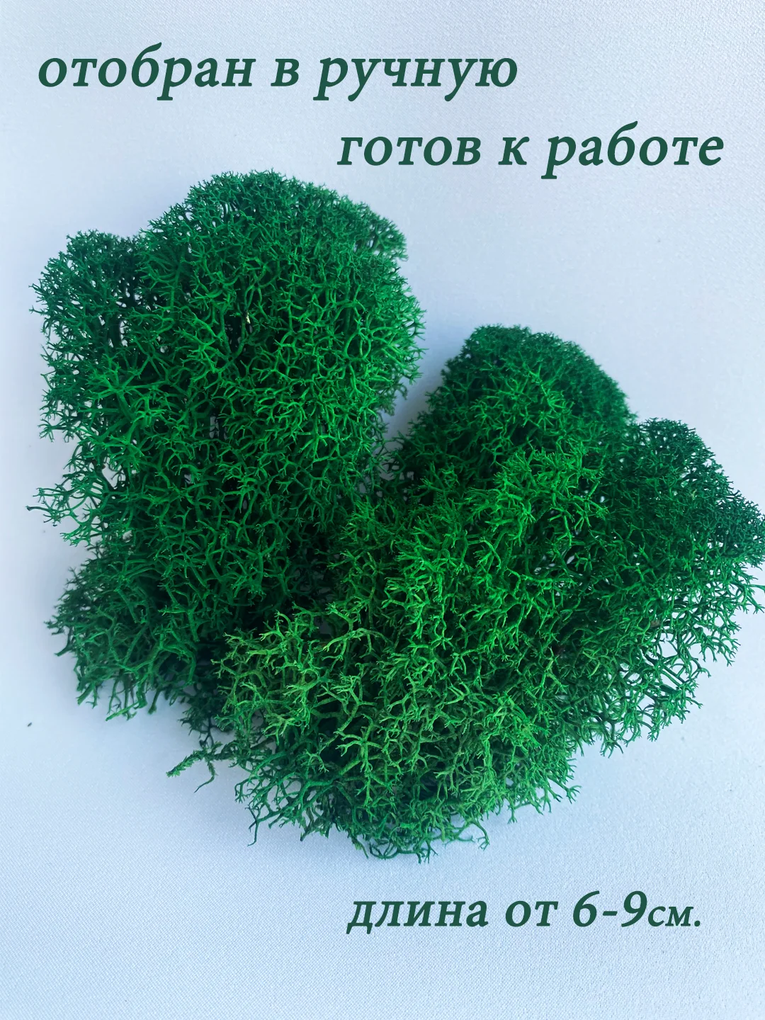 Тёмно-зелёный мох стабилизированный для декора,кашпо