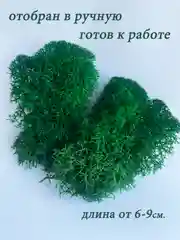 Тёмно-зелёный мох стабилизированный для декора,кашпо