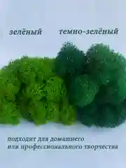 Тёмно-зелёный мох стабилизированный для декора,кашпо
