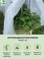 Антиконденсатная пленка Агротекс 1,6х10м