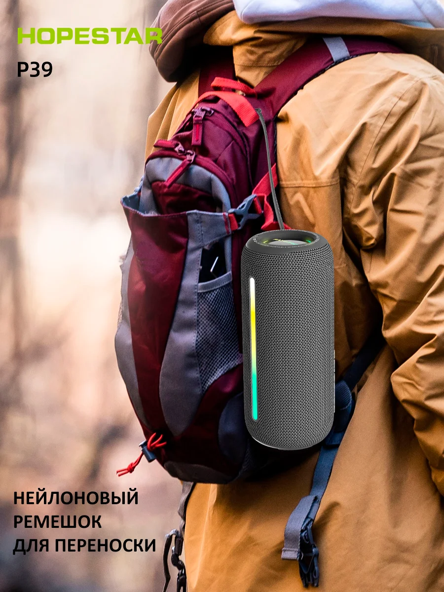 Серебряный портативная колонка Bluetooth HOPESTAR A60 / P39
