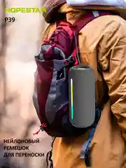 Серебряный портативная колонка Bluetooth HOPESTAR A60 / P39