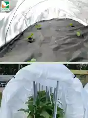 Антиконденсатная плёнка Агротекс микс 40 3х10м
