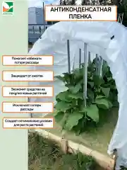 Антиконденсатная плёнка Агротекс микс 40 3х10м