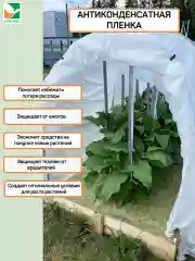 Антиконденсатная пленка микс Агротекс 60 3х10м