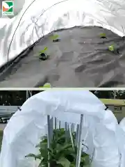 Антиконденсатная пленка микс Агротекс 60 3х10м