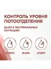 Антиперспирант-спрей Rexona женский Сухость и Уверенност, 150 мл, 2 шт