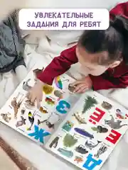 Книги картонная для детей виммельбух "Фотоазбука" 235х310 мм 14 стр. Проф-Пресc