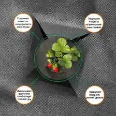Агротекс 60 перфорированная мульча, размер 1,06х10м