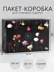 Подарочный пакет для новогоднего подарка, коробка