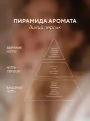 Гель для душа "Дикий персик", парфюмированный, 500 мл