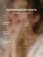 Гель для душа "Табак, ваниль", парфюмированный, 500 мл