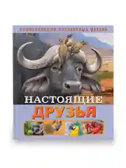 Детская Энциклопедия интересных фактов. Настоящие друзья