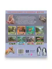 Детская Энциклопедия интересных фактов. Настоящие друзья