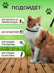 Фиолетовый шлейка с поводком для кошек, универсальная, регулируемая, 10 цветов