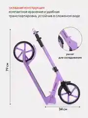 Фиолетовый самокат детский 2-х колесный Rant Element