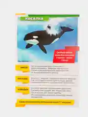 Бирюзовый книга для детей Мини - энциклопедии