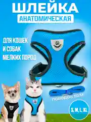 Голубой шлейка с поводком светоотражающая для собак и кошек