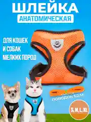 Оранжевый шлейка с поводком светоотражающая для собак и кошек