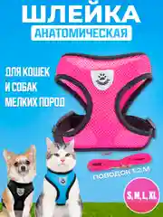 Фуксия шлейка с поводком светоотражающая для собак и кошек
