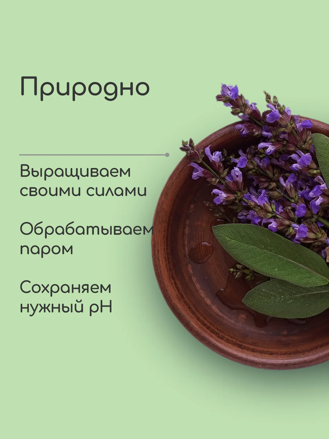 Гидролат Шалфей, тоник для проблемной кожи лица, craftzabota, 100 мл