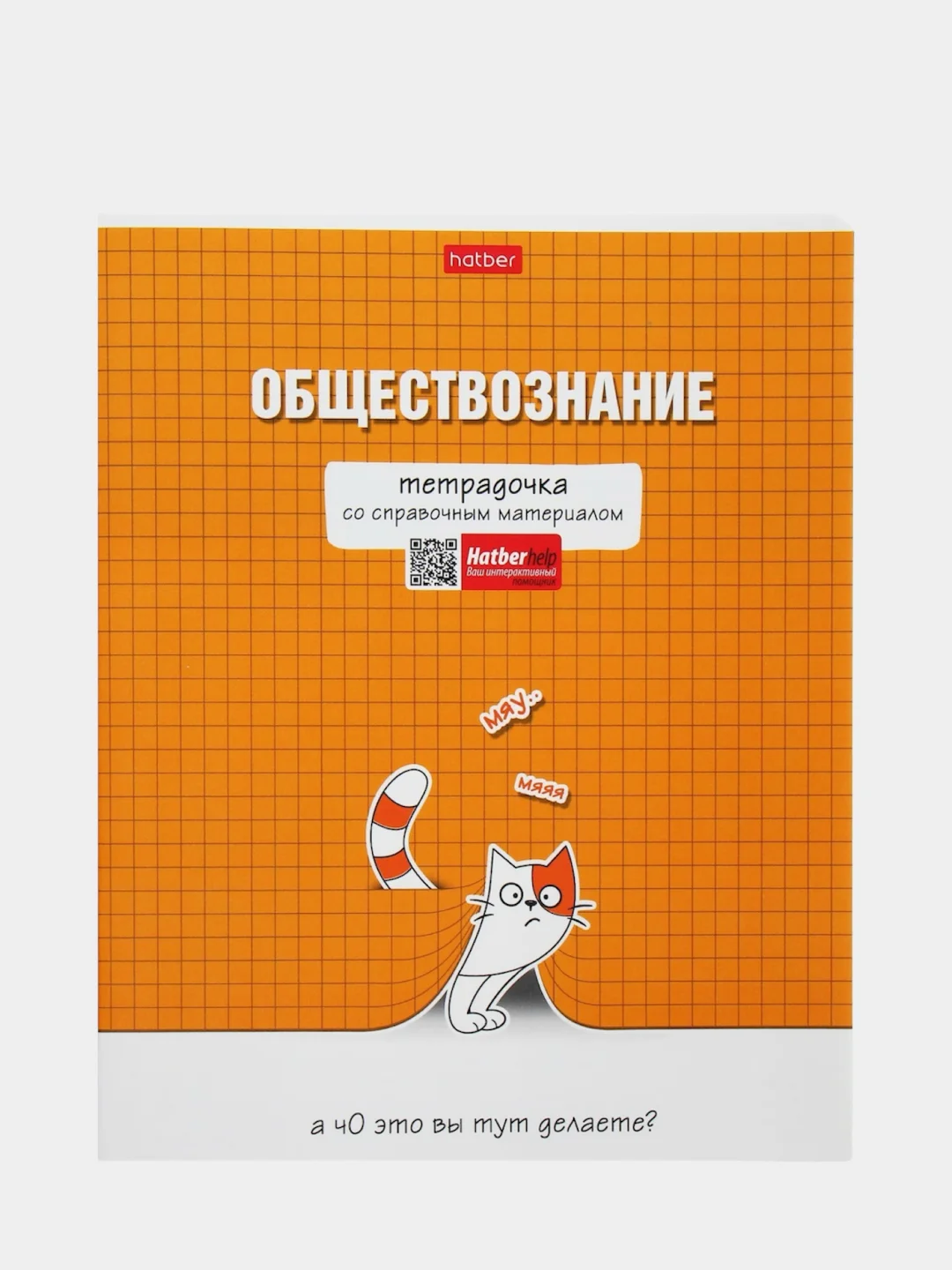 Оранжевый предметная тетрадь "Тетрадочка", 48 листов со справочным материалом, белизна 95-100%