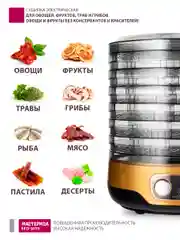 Сушилка для овощей Мастерица EFD-3070,  7  поддонов+2 поддона д/пастилы в подарок