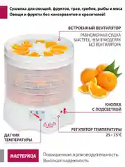 Сушилка для овощей и фруктов Мастерица EFD-0602VM, 6 поддонов + 2 для пастилы в подарок
