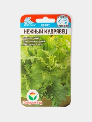 Семена Салат Нежный Кудрявец