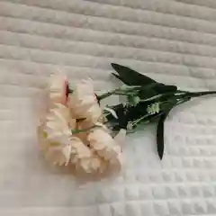 Искусственные цветы астры
