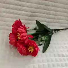 Искусственные цветы астры
